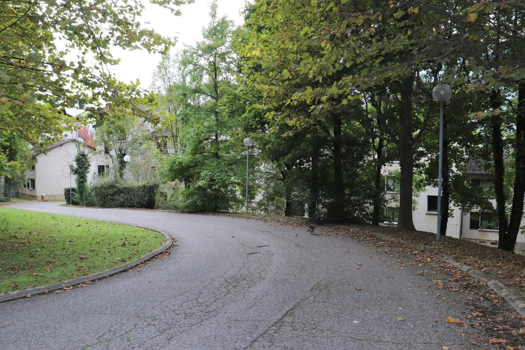 Gites Des Flandaines Saint-Jean-en-Royans Exterior photo